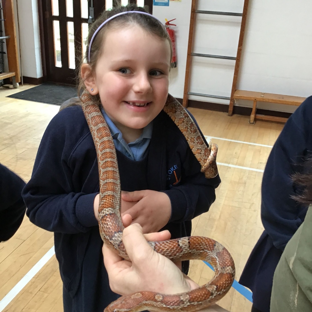 Stoke Prior First School - Animal Lady